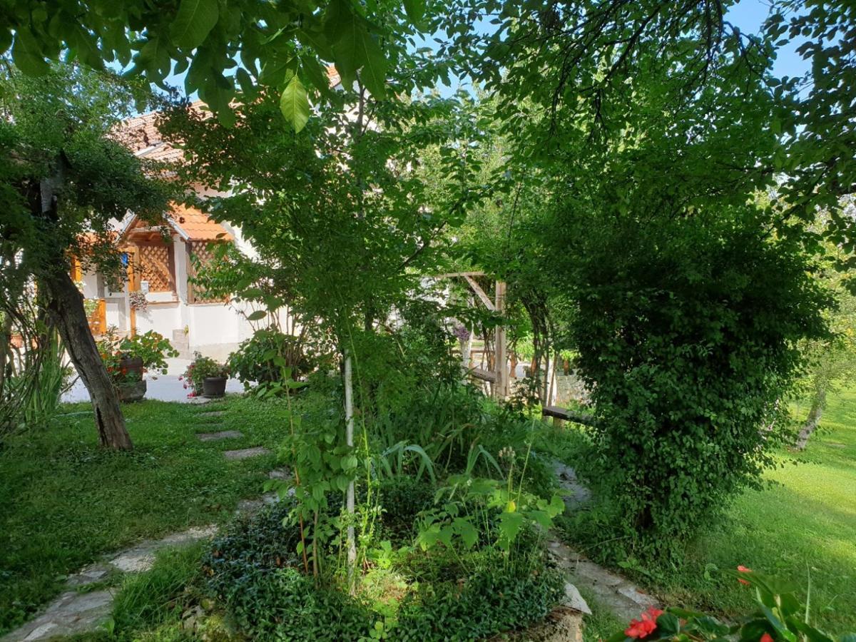 Apartment Liso Selište Drežničko Extérieur photo