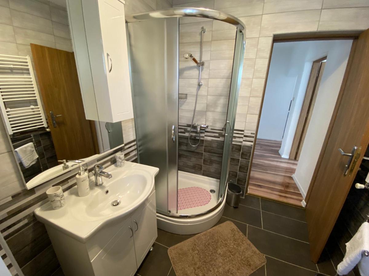 Apartment Liso Selište Drežničko Extérieur photo