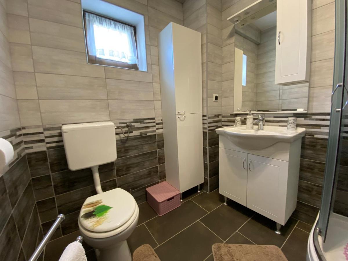 Apartment Liso Selište Drežničko Extérieur photo