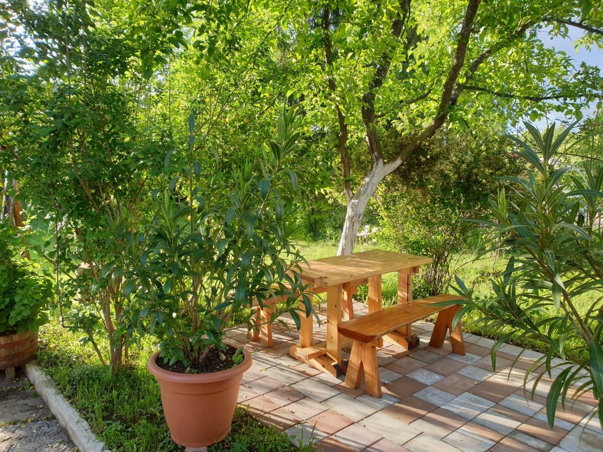 Apartment Liso Selište Drežničko Extérieur photo