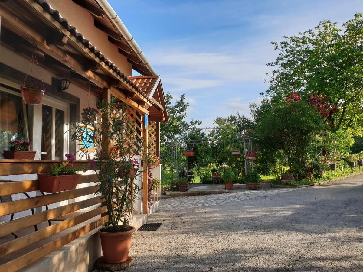 Apartment Liso Selište Drežničko Extérieur photo